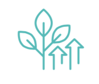 icon3
